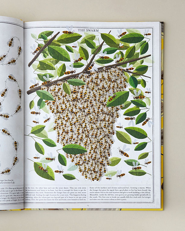 Bees A Honeyed History Book
