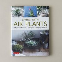 Living with Air Plants - Longwood Gardens
