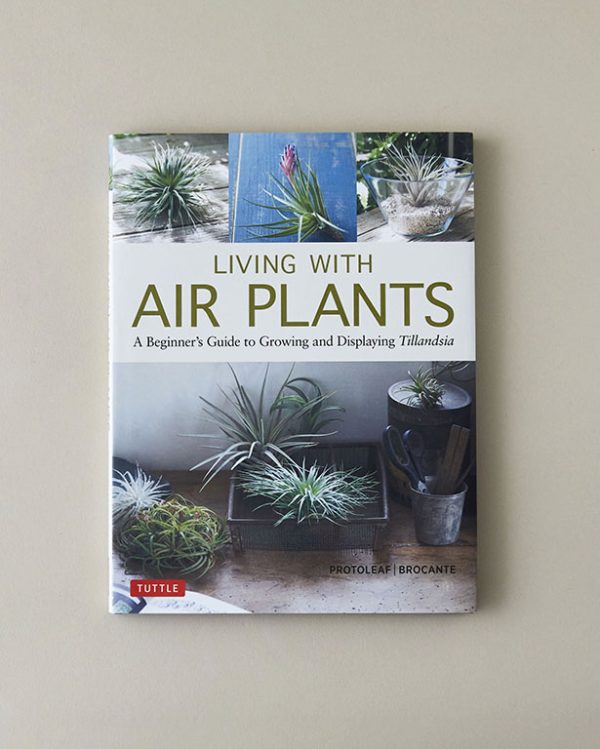 Living With Air Plants Book