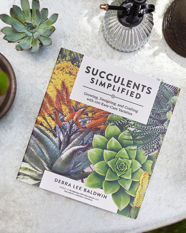 Succulents Simplified Book by Debra Lee Brown