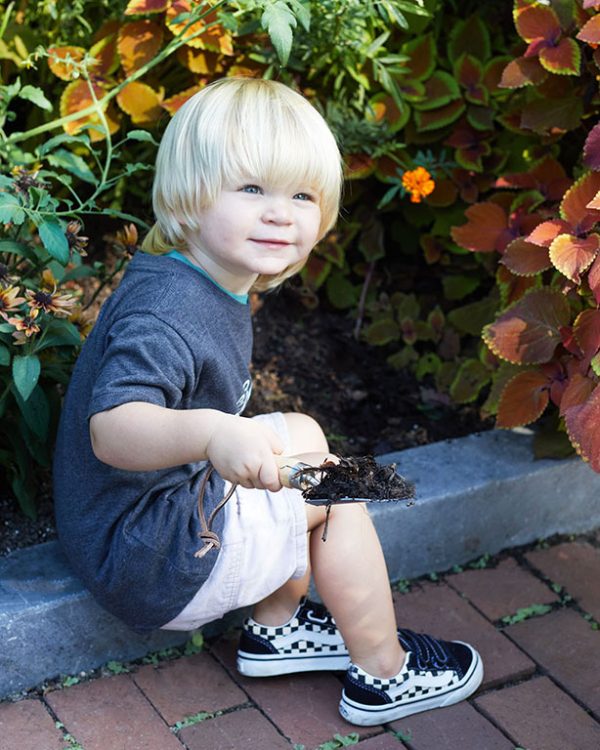 Little Gardener