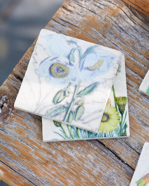 Longwood Gardens Botanical Coaster Set