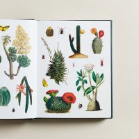 The Botanist's Sticker Anthology - Longwood Gardens