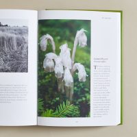 A Flower a Day - Longwood Gardens