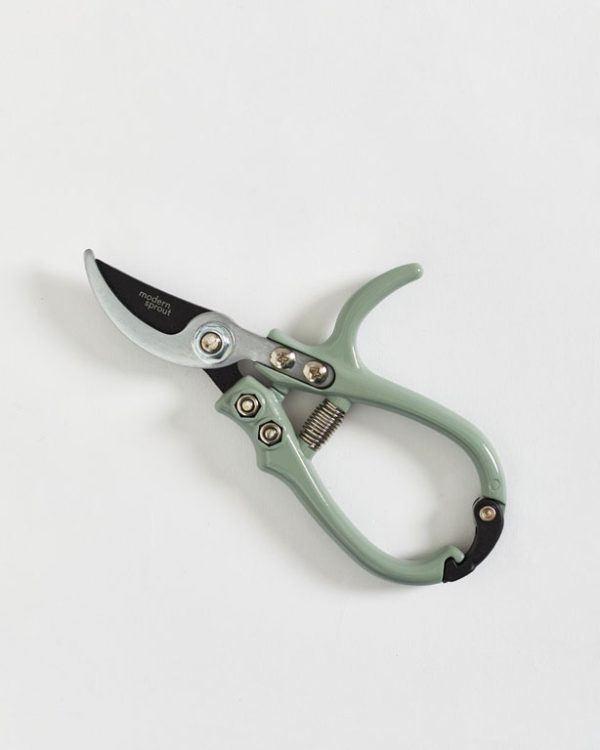 Small Longwood Mothers Day Gift Guide 011 