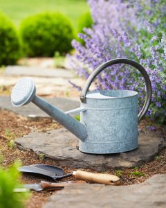 Zinc Watering Can (2)