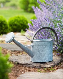 Zinc Watering Can