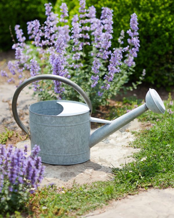 Outdoor Living