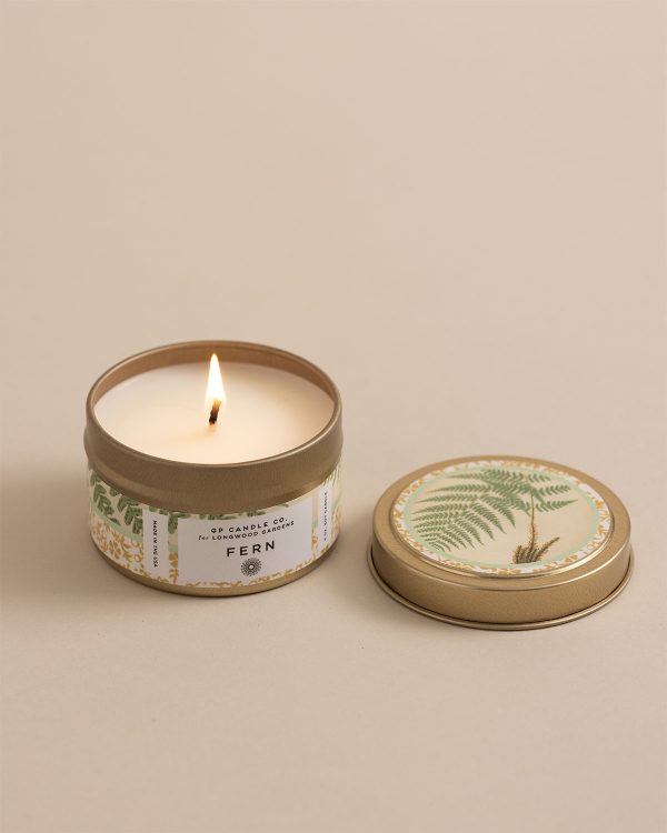 Gp Fern Candle (3)