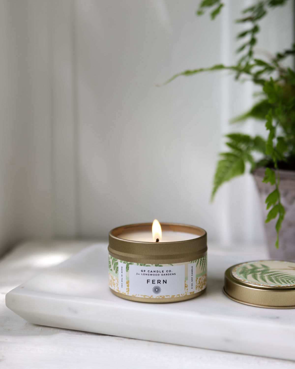 Fern Travel Tin Candle - Longwood Gardens