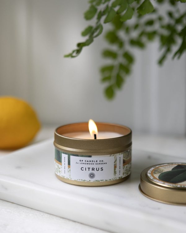 Longwood Mistral Candles 004 