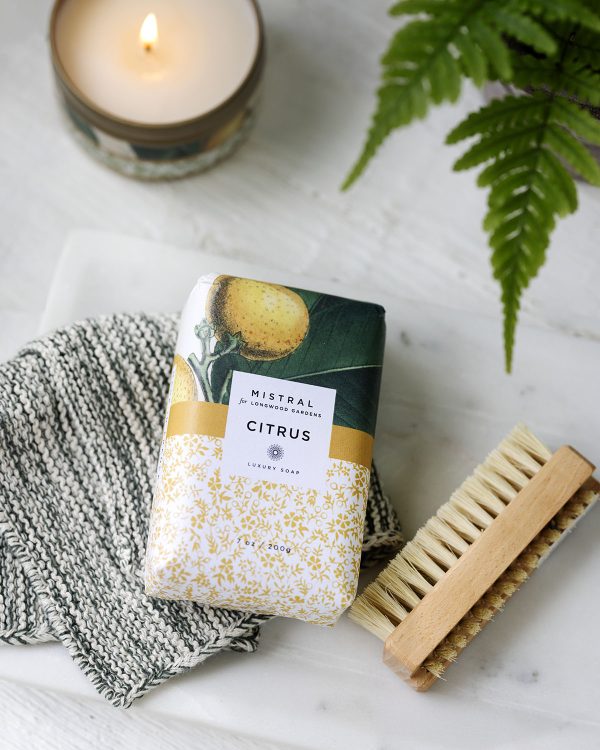 Mistral Citrus New Wrap (2)