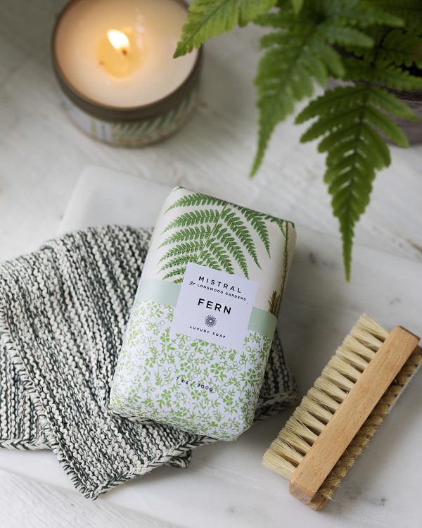 Mistral Fern Soap (2)