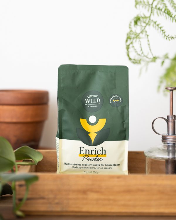 Longwood We The Wild Powder 000 