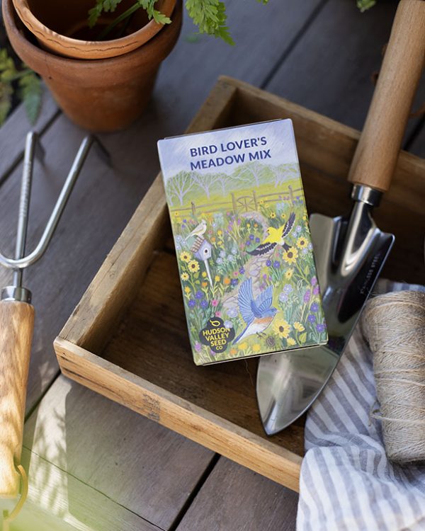 Longwood Hudson Valley Seedbox Bird Lovers Meadow Mix 001 
