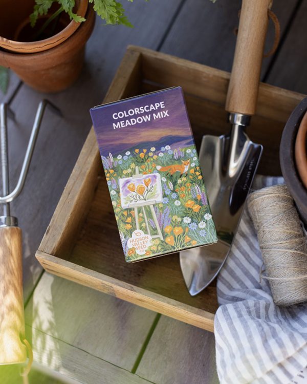 Longwood Hudson Valley Seedbox Colorscape Meadow Mix 001 