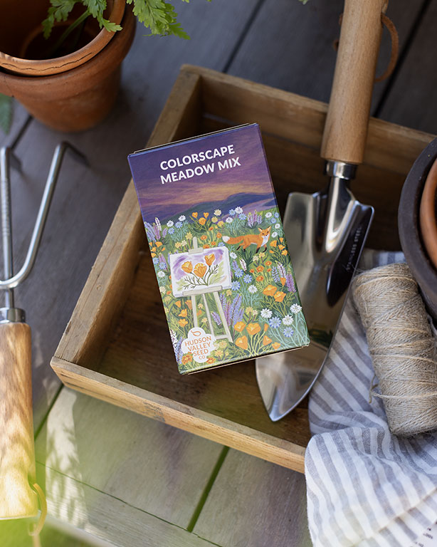 Longwood Hudson Valley Seedbox Colorscape Meadow Mix 001