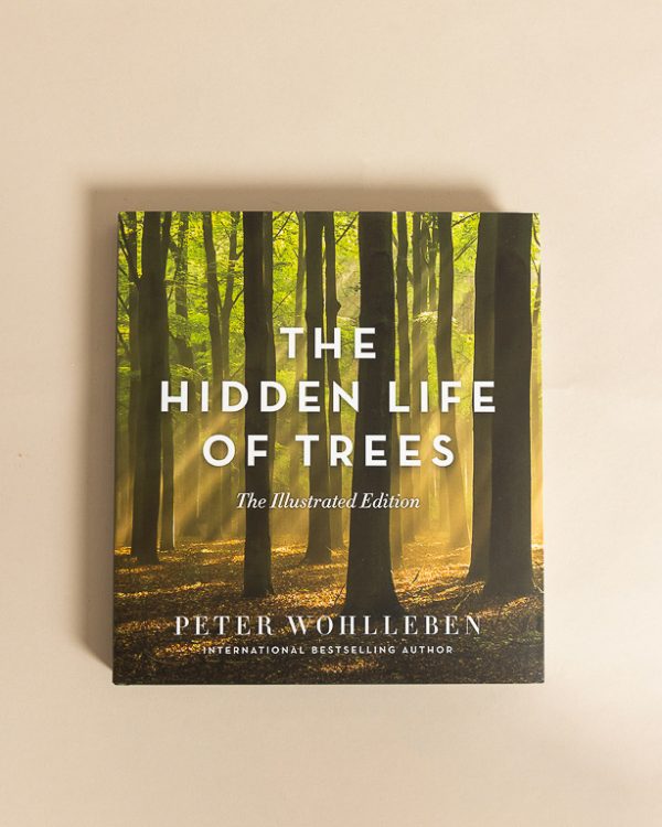 Lw Hidden Life Trees 0 