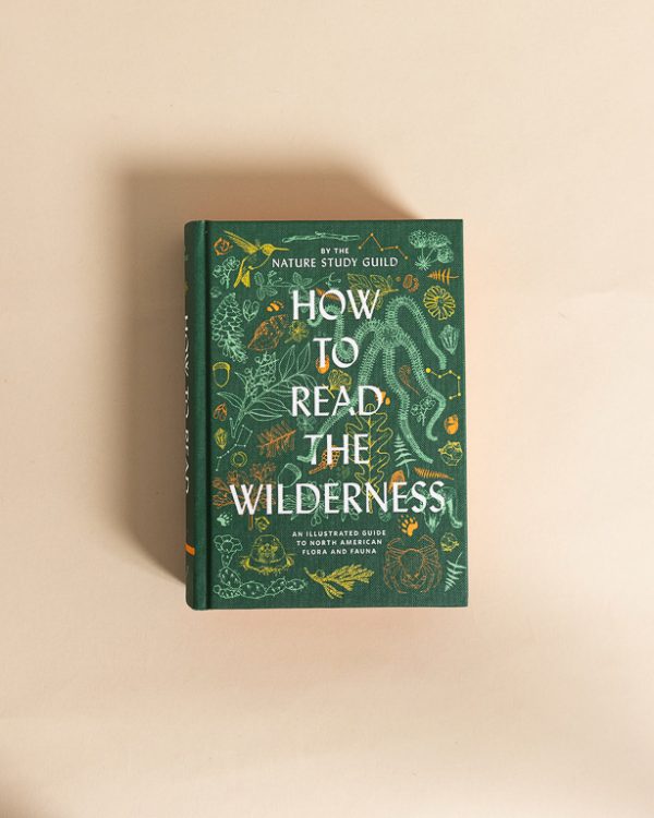 Lw Read In Wilderness 0 