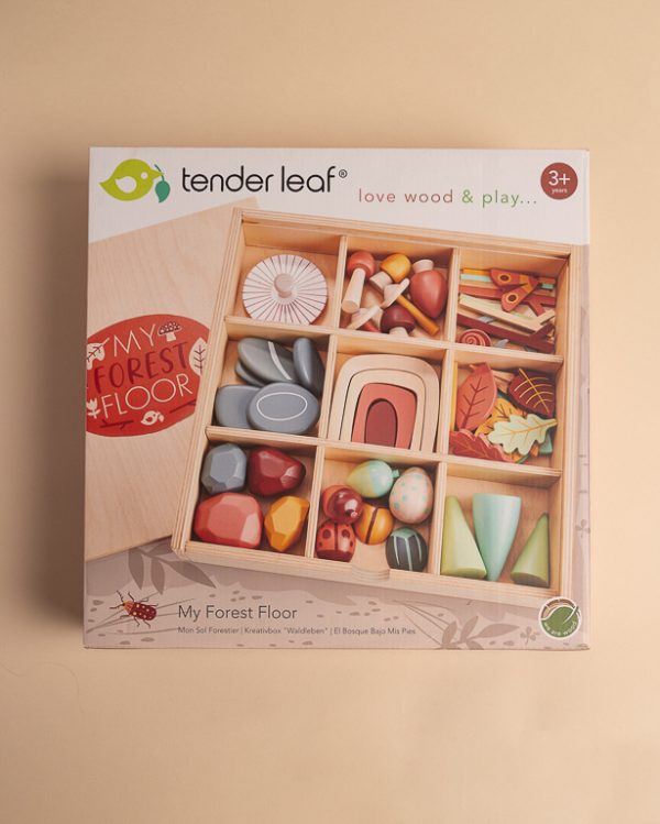 082624 My Forest Floor 000 