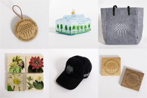 Lri Collage Cg (winner)