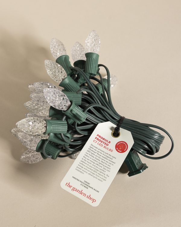 111924 Lw Holiday Resized 014 