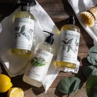 Koala Eco Boxed Set - Longwood Gardens