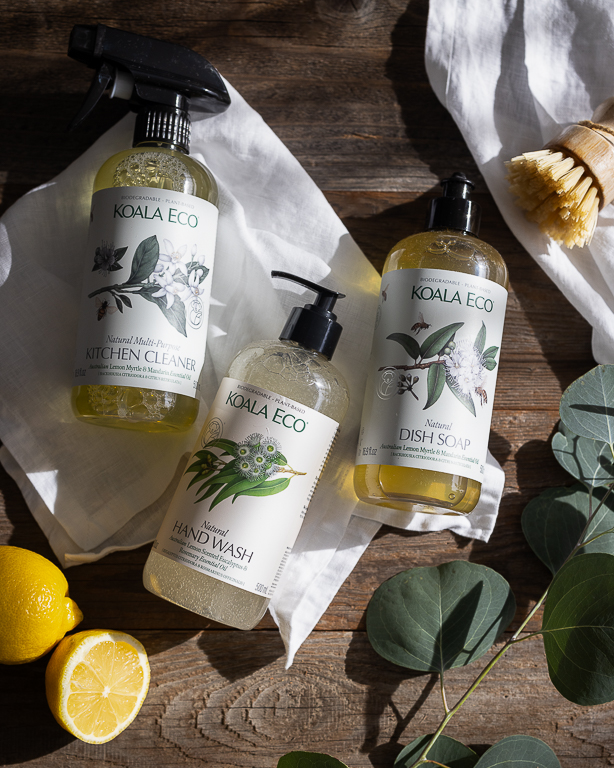 Koala Eco Boxed Set - Longwood Gardens