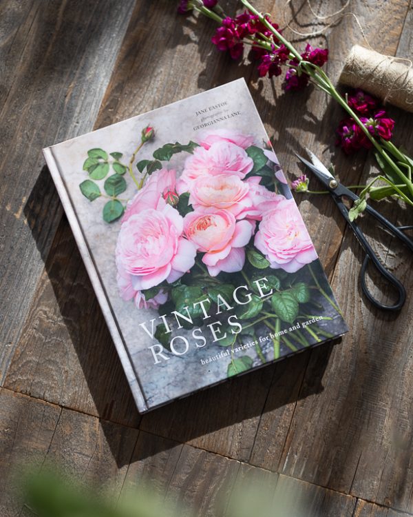 Lw Spring Valentines Launch Resized 016 