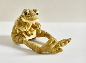 640762 Longwood Frog Puppet 002 Duchala Adelyn Longwood Frog Puppet 002