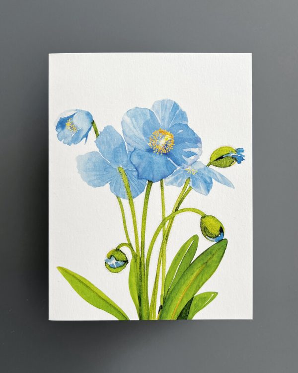 804519 Felix Doolittle Blue Poppy Products Fenton Steve 3 Doolittle Notecard 1
