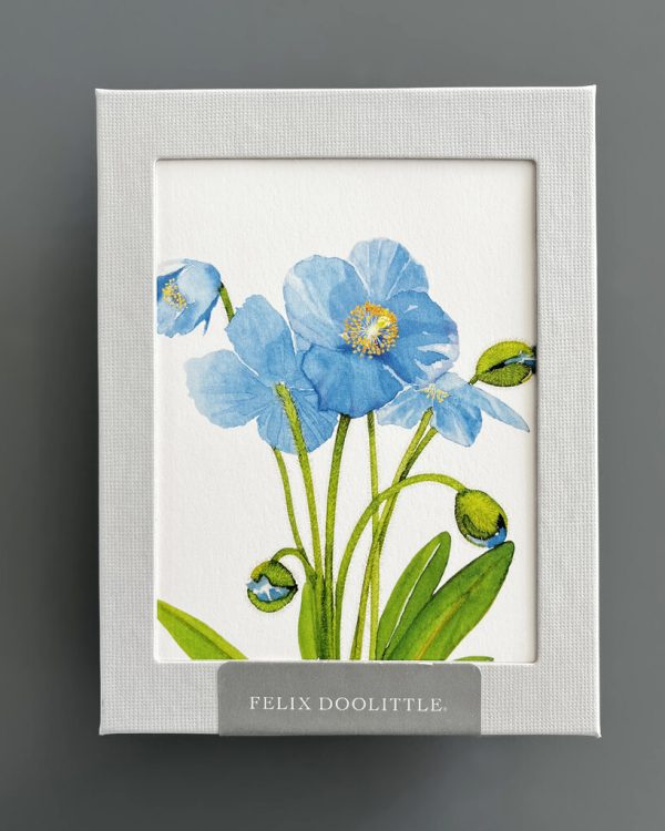 804520 Felix Doolittle Blue Poppy Products Fenton Steve 4 Doolittle Notecard Box