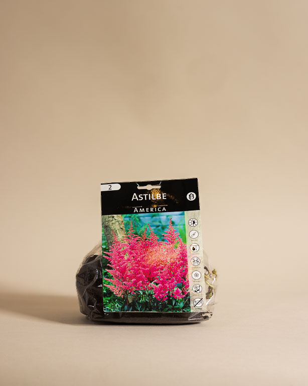 040225 Lw Spring Resized 003