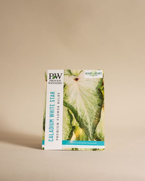 040225 Lw Spring Resized 004 