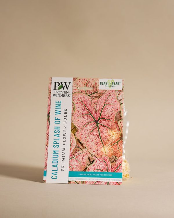 040225 Lw Spring Resized 005