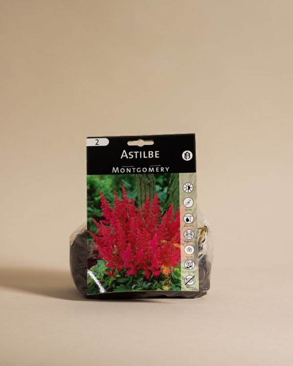 040225 Lw Spring Resized 006