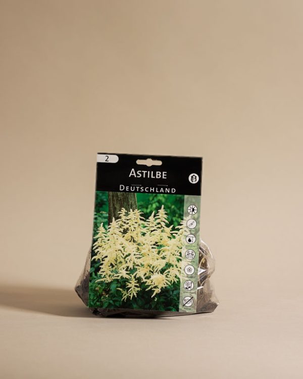 040225 Lw Spring Resized 007