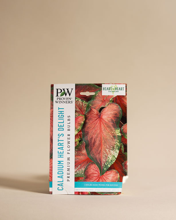 040225 Lw Spring Resized 008