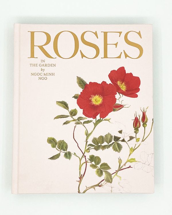 Rosesinthegarden