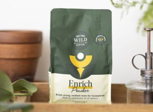 748215 Longwood We The Wild Powder Duchala Adelyn