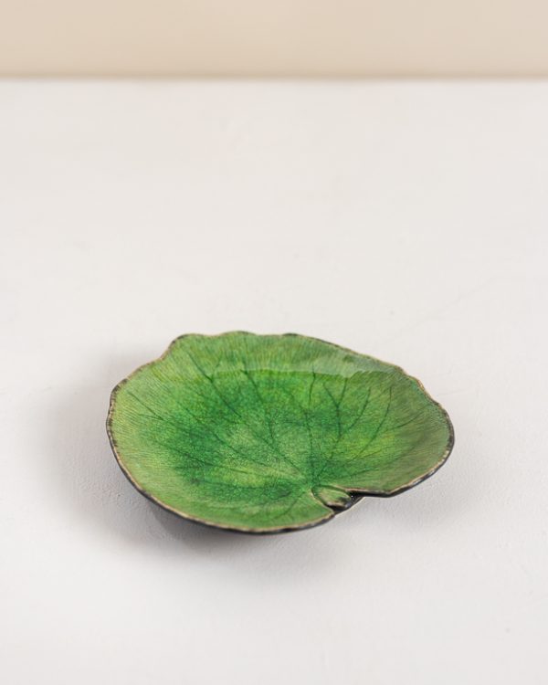 082725 Lw Fall 2025 038 