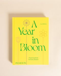 111625 Lw Holiday Ecomm Resized 006