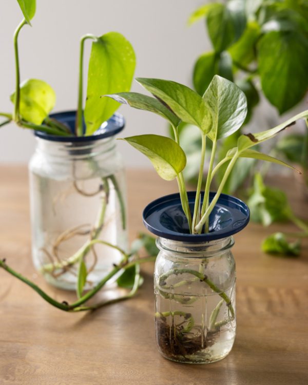 111925 Lw Styled Ecomm Resized 023