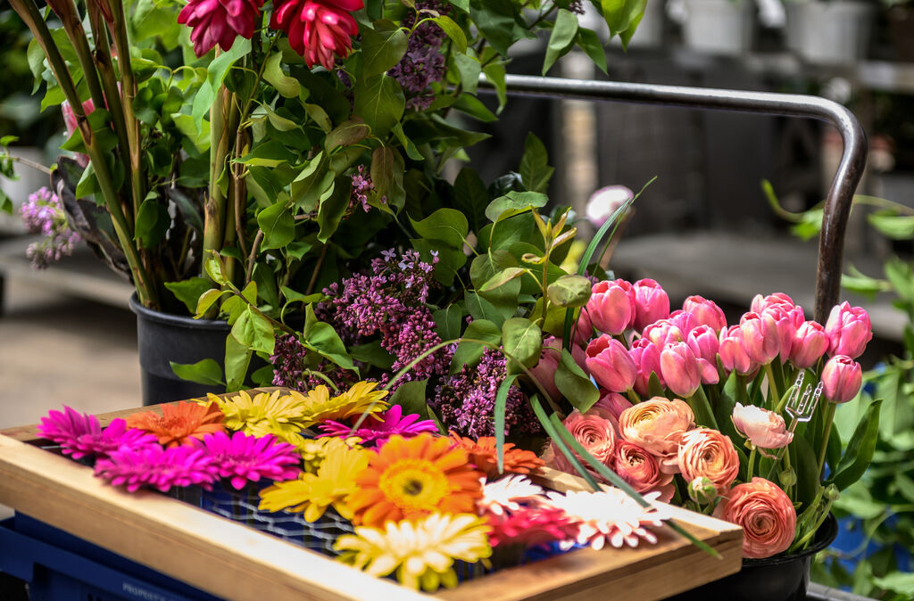 406864 Floral Design Instructors Hill William Bill Longwood Volunteer Photographer 