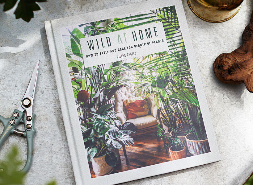 603434 Wild At Home Hilton Carter Book Styled 1 Duchala Adelyn (1)