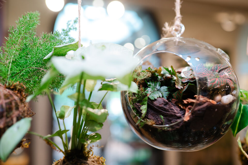 Longwood Gardens: Design Tuesday Workshop