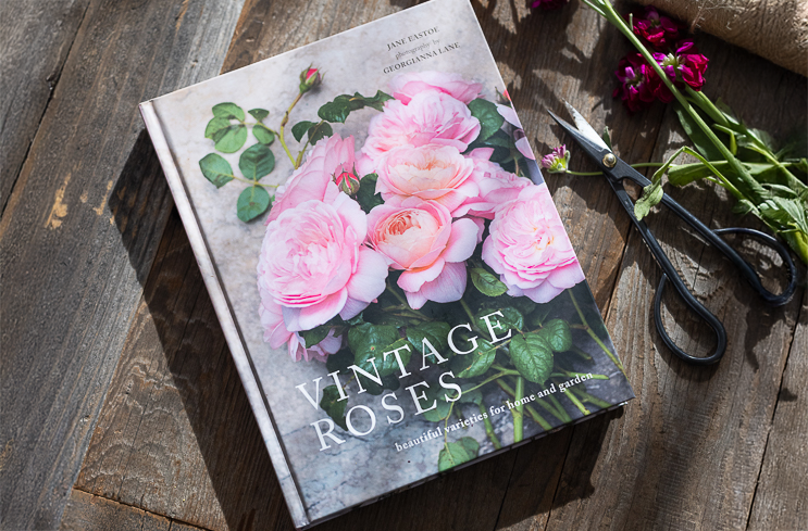 Lw Spring Valentines Launch Resized 016 