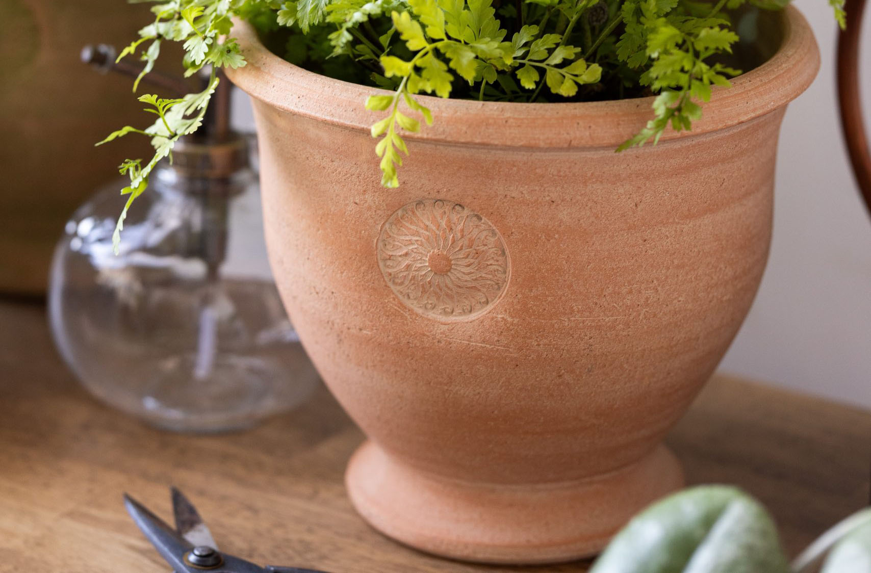 012026 Lw Pots Banner 005 2 Scaled