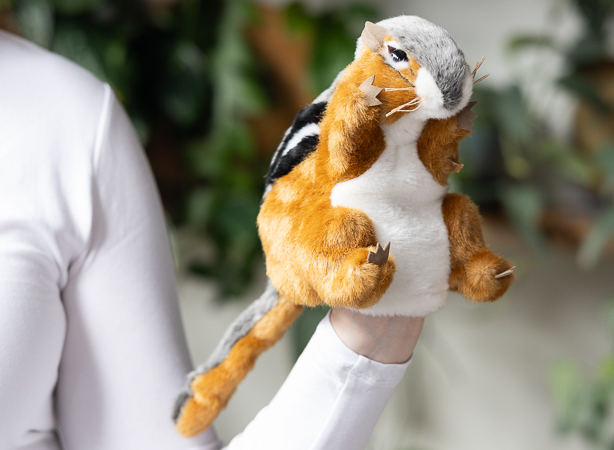 Longwood Squirell Puppet 000