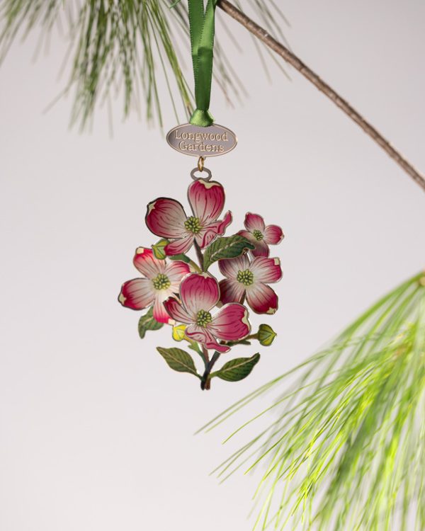 Beacon Dogwood Update
